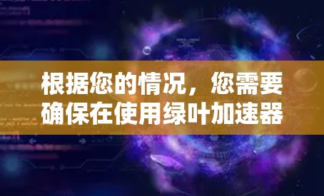 根据您的情况，您需要确保在使用绿叶加速器时按照以下步骤操作