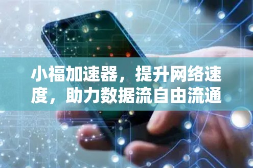 小福加速器，提升网络速度，助力数据流自由流通