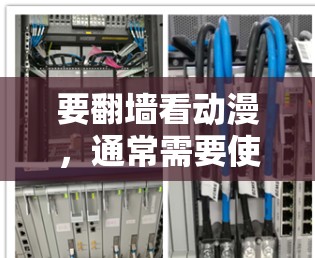 要翻墙看动漫，通常需要使用软件来访问那些可能需要版权或特定访问权限的网站。以下是一些常见的软件和工具，适合普通用户使用