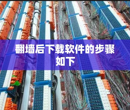 翻墙后下载软件的步骤如下