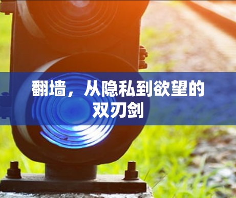 翻墙，从隐私到欲望的双刃剑