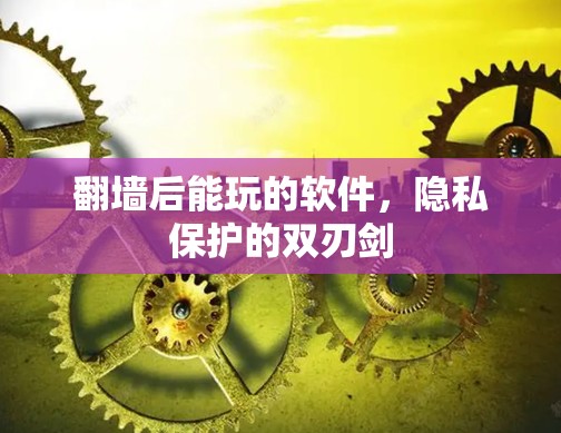 翻墙后能玩的软件，隐私保护的双刃剑