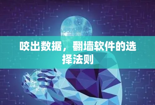 咬出数据，翻墙软件的选择法则