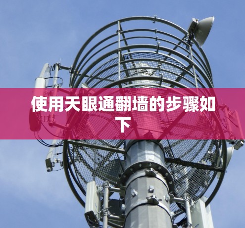 使用天眼通翻墙的步骤如下