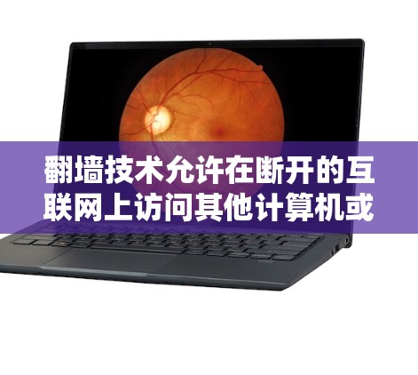 翻墙技术允许在断开的互联网上访问其他计算机或服务器，因此在无法访问网络内网资源的情况下，用户可以下载并使用以下软件