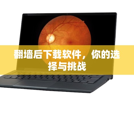 翻墙后下载软件，你的选择与挑战