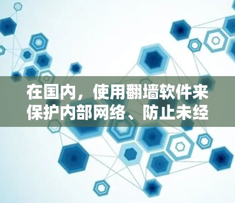 在国内，使用翻墙软件来保护内部网络、防止未经授权访问是非常常见的做法。以下是几种常用的国内翻墙软件及其特点