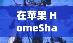 在苹果 HomeShare 中，您可以通过以下步骤使用翻墙功能来查看和管理您的家庭存储