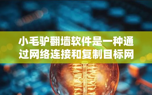 小毛驴翻墙软件是一种通过网络连接和复制目标网站内容的技术工具，旨在快速访问需要资源的网站。以下是对该软件的详细说明